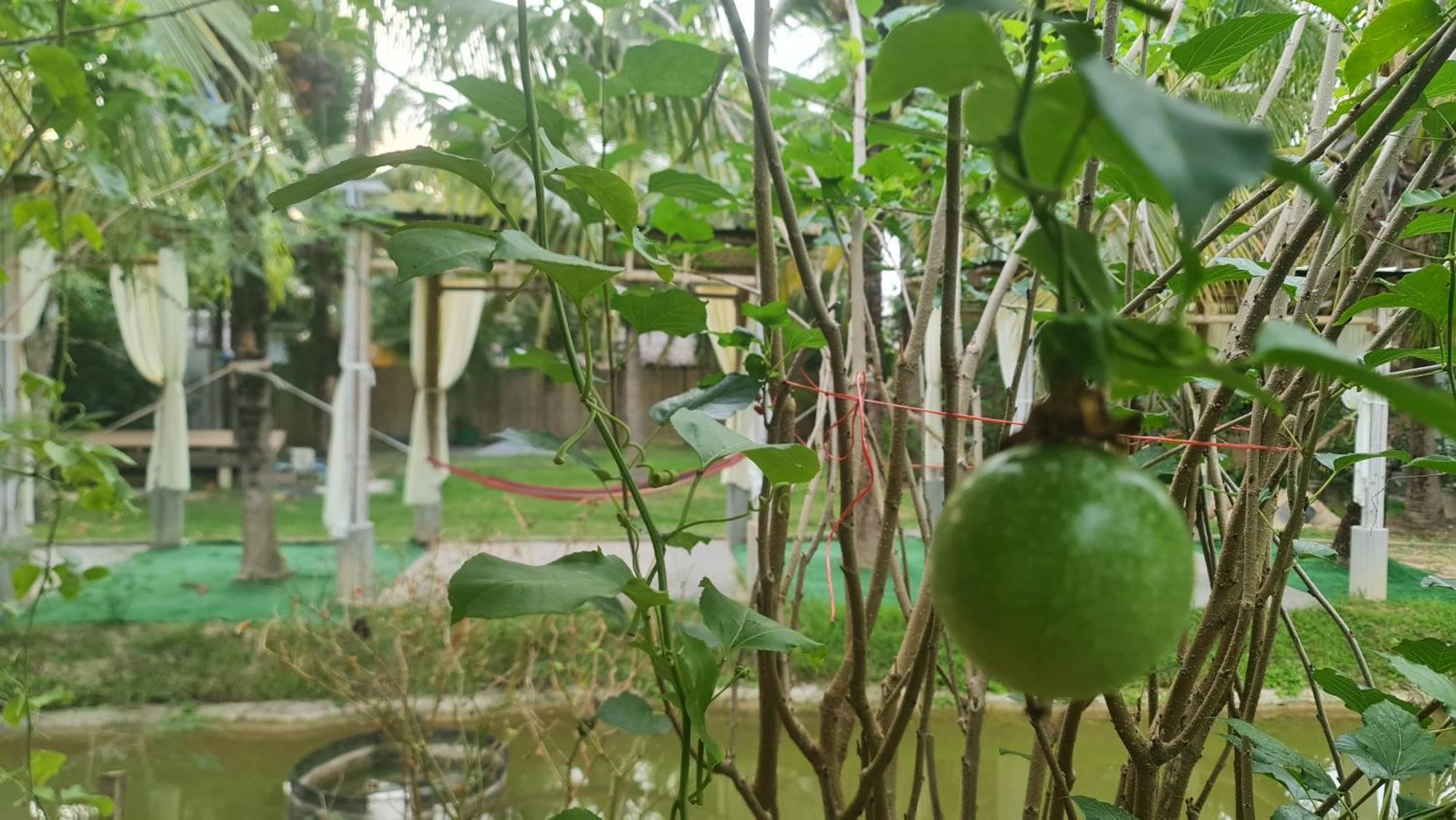 Ko Lanta 班苏安林隆旅馆酒店 外观 照片