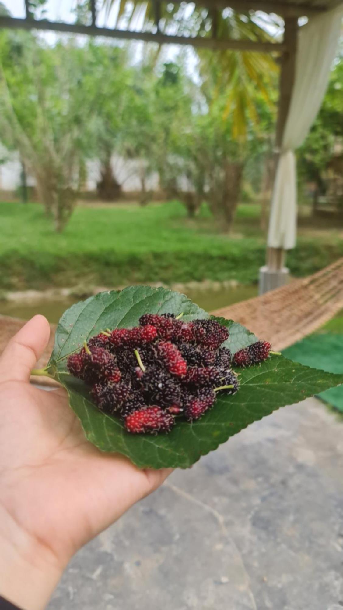 Ko Lanta 班苏安林隆旅馆酒店 外观 照片